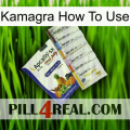 Kamagra How To Use 11